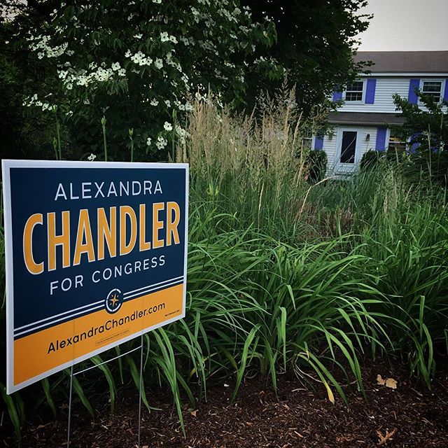Had the privilege of meeting congressional candidate Alexandra Chandler at our home. To quote The West Wing: She’s the real deal. An unapologetic progressive who is a systems thinker and knows how to operate the machine. I’m impressed, inspired, and hopeful! http://alexandrachandler.com