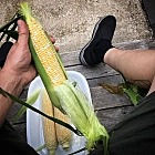 Shucking corn on the back porch of the house I grew up in