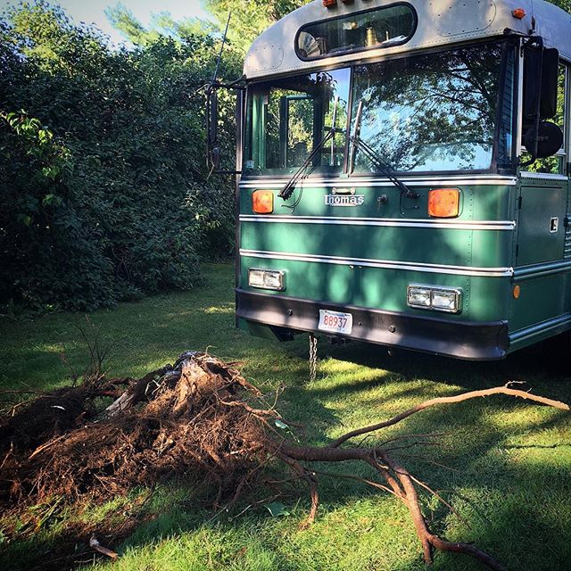 Thing you can do with an old school bus you can’t do with an RV: pull stumps.