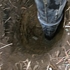 Digging post holes with a shop vac is a game changer! 48" in about 10 minutes!