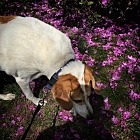 Stop and sniff the flowers.