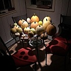@ladyvonslatt harvested the spawn of last years Jack-o-lanterns! ?