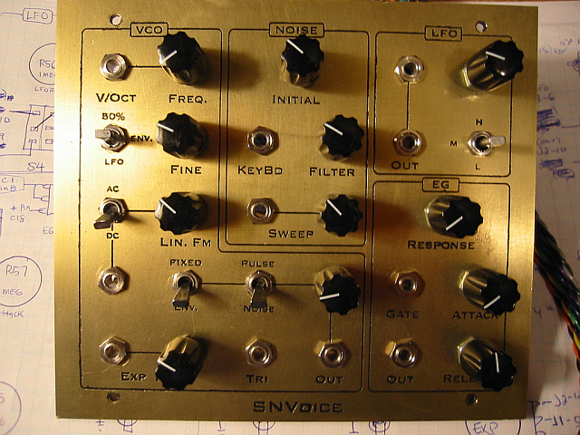 snvoice panel